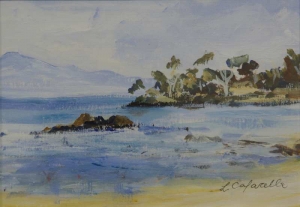 IMGP0112cropped resized